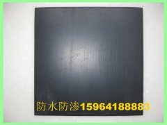 建筑工地用揚東土工膜